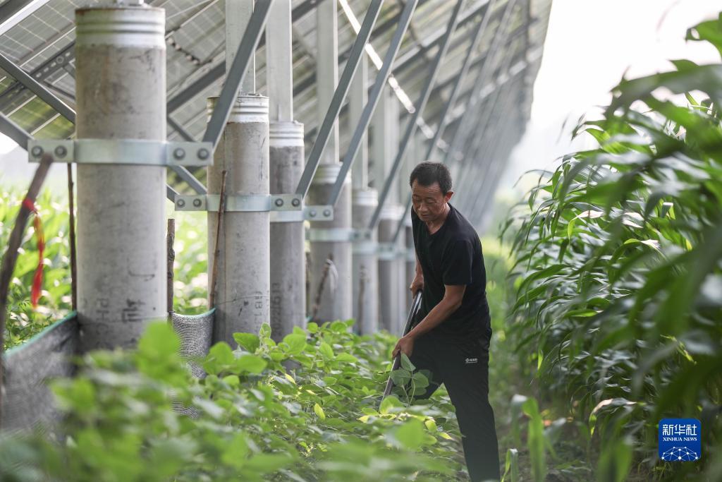 澳门幸运6规则