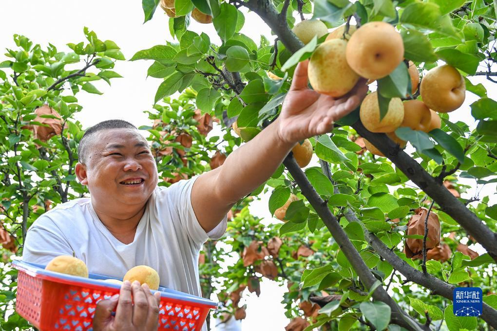 电子娱乐官网平台